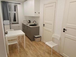 New Gray apartment in the center of Riga, Riga